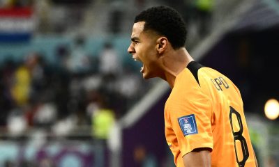 Netherlands' forward #08 Cody Gakpo celebrates after he scored his team's first goal during the Qatar 2022 World Cup Group A football match between the Netherlands and Ecuador at the Khalifa International Stadium in Doha on November 25, 2022