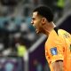 Netherlands' forward #08 Cody Gakpo celebrates after he scored his team's first goal during the Qatar 2022 World Cup Group A football match between the Netherlands and Ecuador at the Khalifa International Stadium in Doha on November 25, 2022
