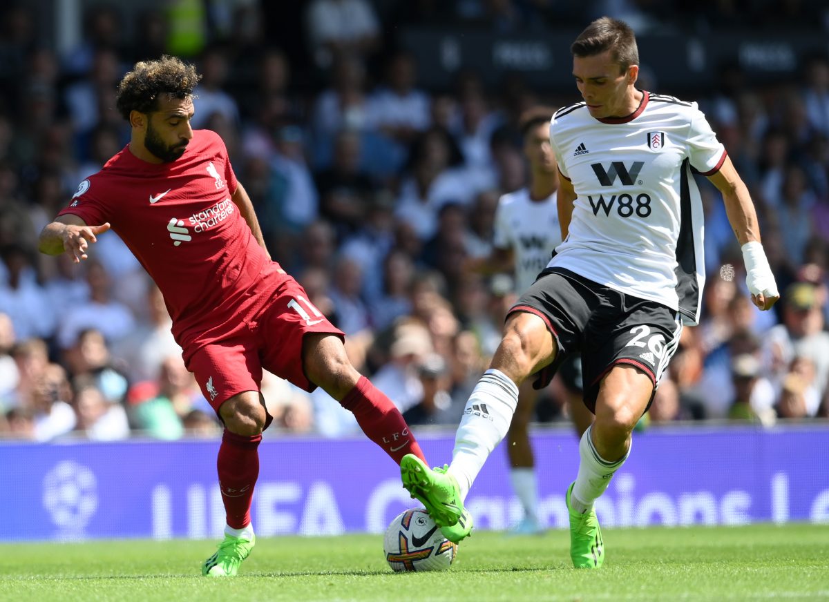 Liverpool could hand Arne Slot an excellent welcome gift by landing Fulham star Joao Palhinha