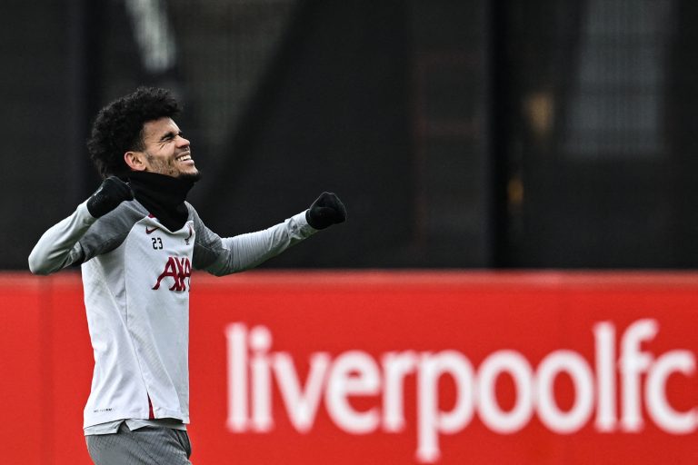Liverpool star Luis Diaz (Photo by PAUL ELLIS/AFP via Getty Images)